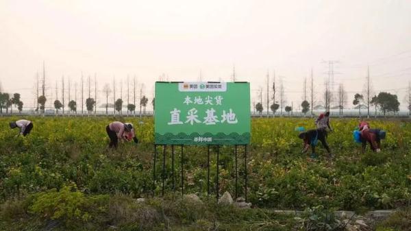 想不到！每个上海人至少吃掉10斤春菜！还有超市卖河豚……