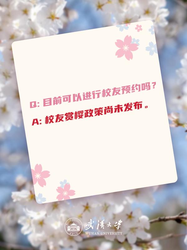 樱花已开？黄牛带你进校？武汉大学辟谣