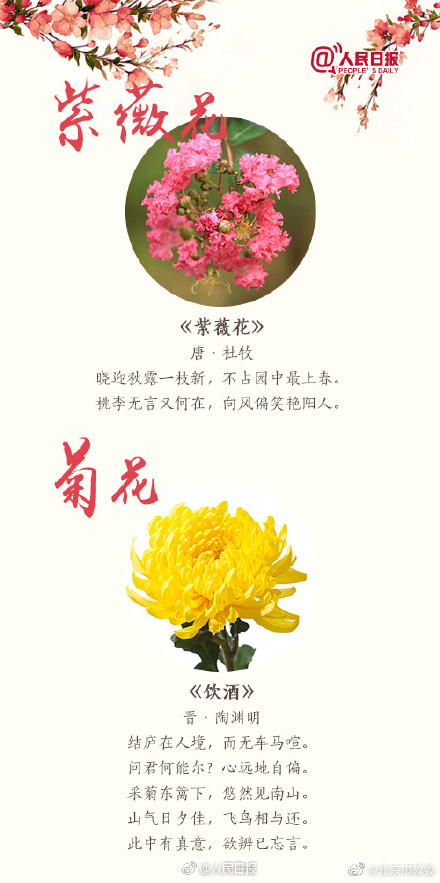 跟着18首古诗去赏花 跟着18首古诗去赏花