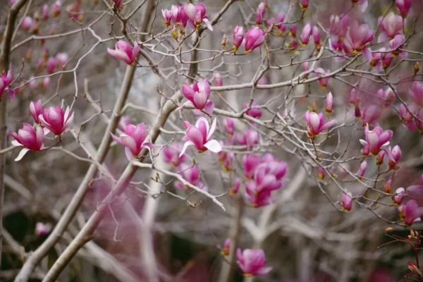 热 热 热！周五郑州最高气温可达30℃