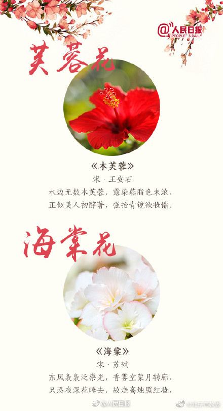 跟着18首古诗去赏花 跟着18首古诗去赏花