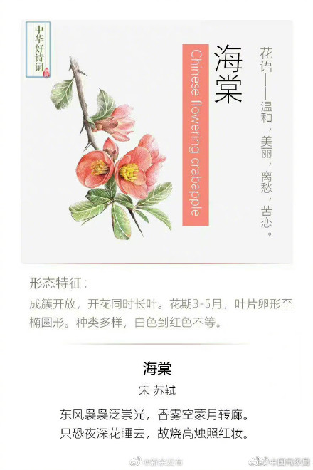 原来可以这样留住春天