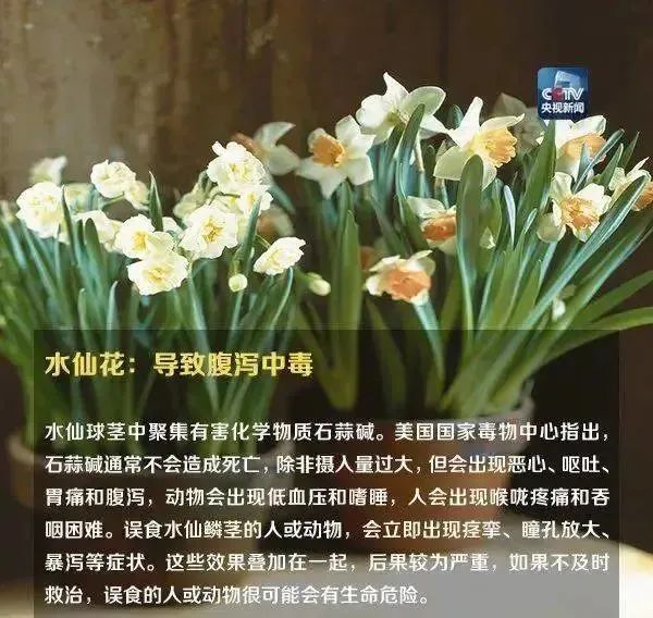 形似蒜苗，浙江男子突发中毒！医生提醒