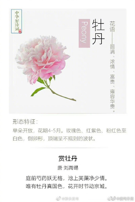 原来可以这样留住春天