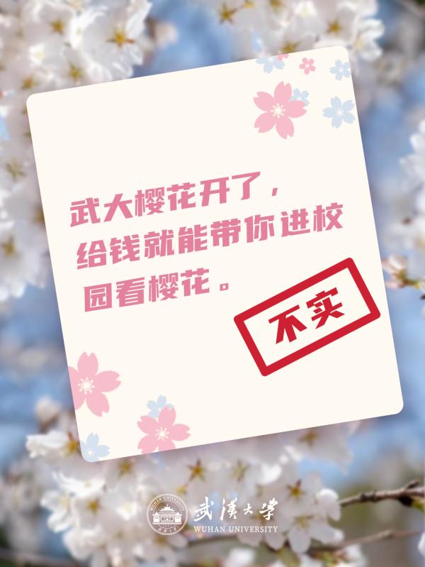 樱花已开？黄牛带你进校？武汉大学辟谣