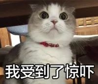 真会玩！他们竟然这样庆祝惊蛰…