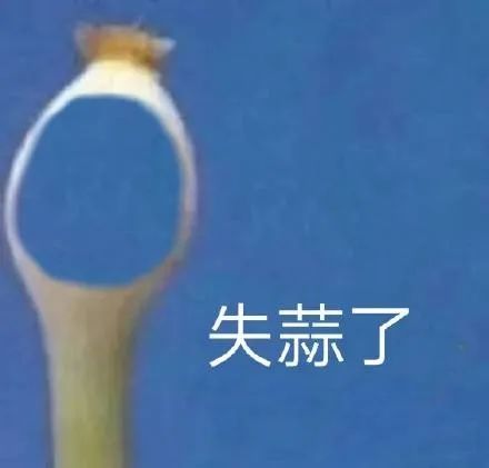 “祝贺你，面试成功！”