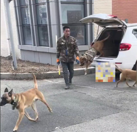 野猪在大学里狂飙还偷吃学生外卖 网友：失主能吃回去吗？