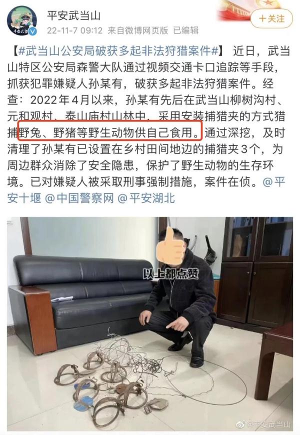 “野猪吃了我的外卖，我能吃野猪吗？”