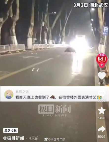 野猪在大学里狂飙还偷吃学生外卖 网友：失主能吃回去吗？