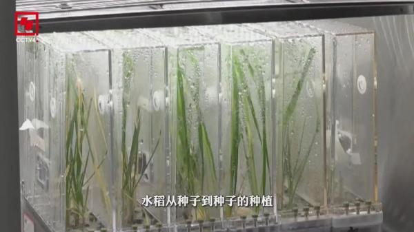 海外博主看中国｜科幻照进现实 感受中国航天魅力