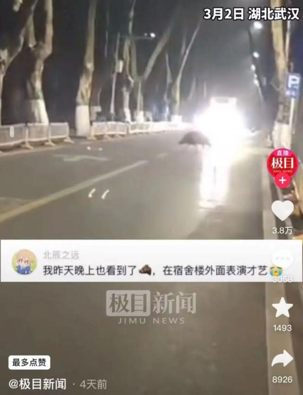 一头野猪已到案！在大学里狂飙，还偷吃学生外卖……