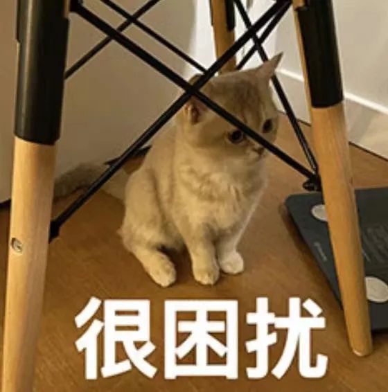 “祝贺你，面试成功！”