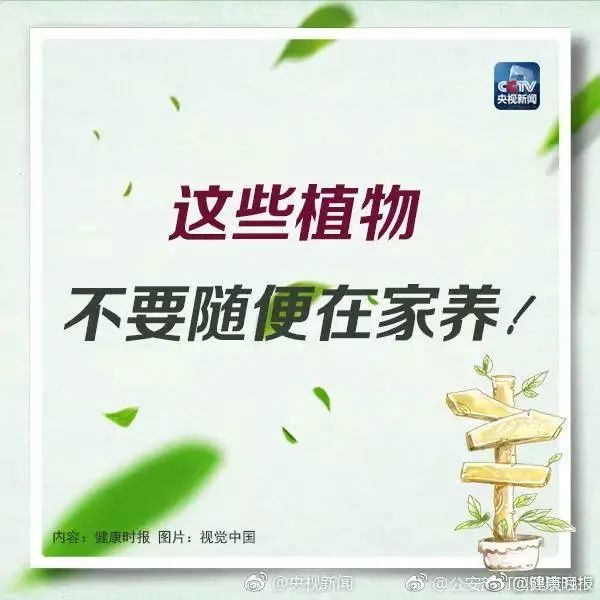 形似“蒜苗”却使人食物中毒，原来罪魁祸首是它……这些植物你家可能也有
