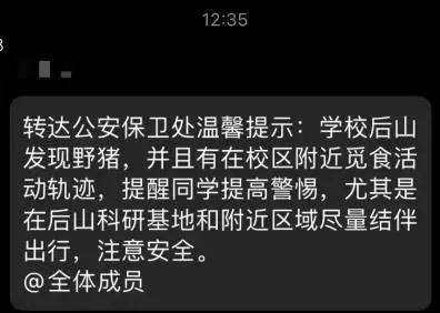 “野猪吃了我的外卖，我能吃野猪吗？”