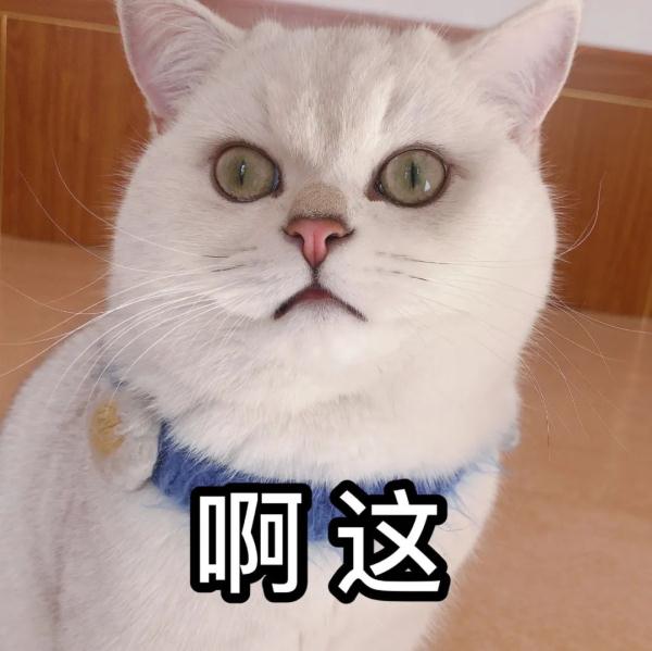 最高温或接近30℃！青岛气温开始“狂飙”，接下来还有“反转”……