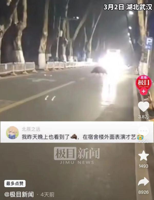 “野猪吃了我的外卖，我能吃野猪吗？”