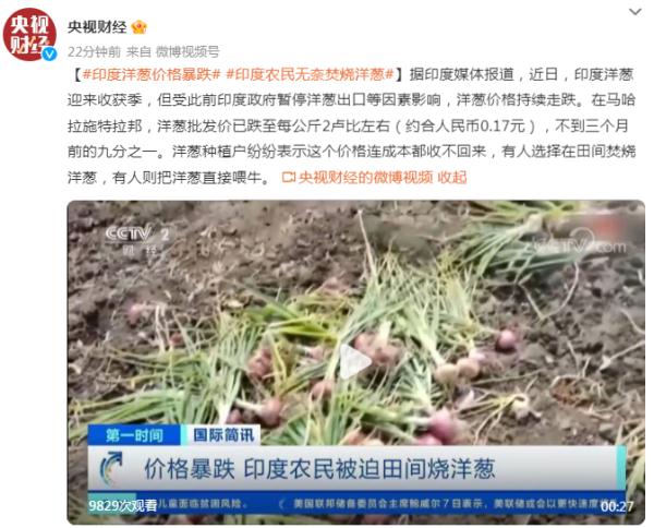 印度洋葱价格暴跌，印度农民被迫田间焚烧洋葱