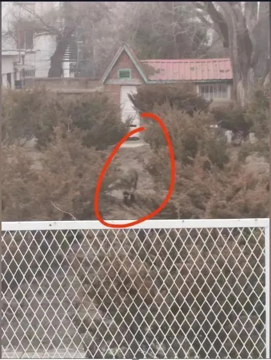 抓到了!在大学里狂飙,还偷吃外卖 抓到了!在大学里狂飙,还偷吃外卖