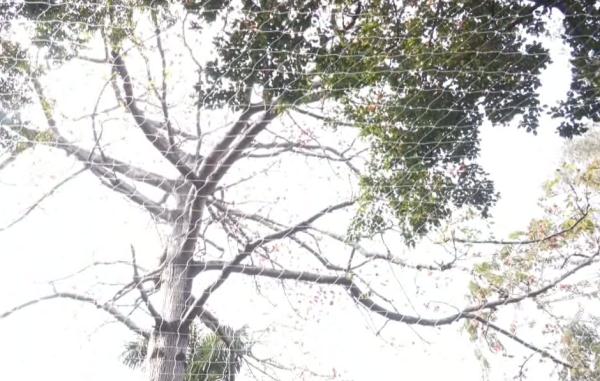广东这一高校火了！网友：全世界都知道广东人用花煲汤了