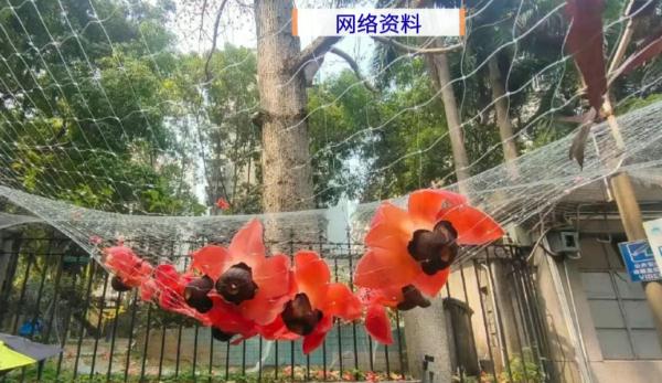 广东高校这一幕火了，网友：这很老广