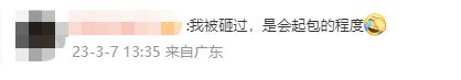 假如砸中牛顿的不是苹果，而是广东的木棉花……