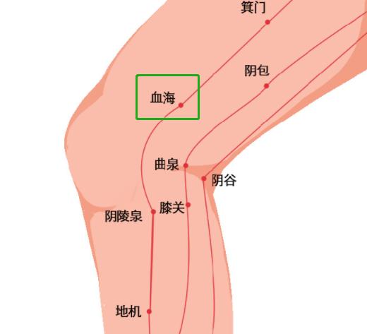 阴谷曲泉位置图片