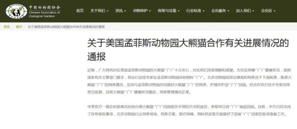 中方兽医将抵美！已做好迎接“丫丫”回家准备