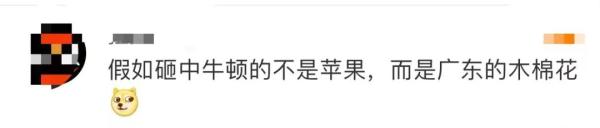 假如砸中牛顿的不是苹果，而是广东的木棉花……
