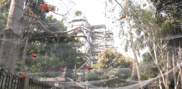 广东这一高校火了！网友：全世界都知道广东人用花煲汤了