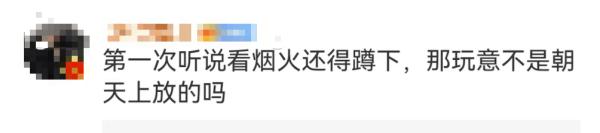 烟花秀到底是站着看还是坐着看？上海迪士尼一游客因此遭轰骂，网友也吵翻~