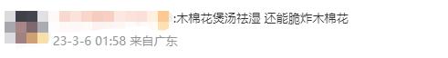 假如砸中牛顿的不是苹果，而是广东的木棉花……