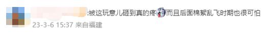 假如砸中牛顿的不是苹果，而是广东的木棉花……