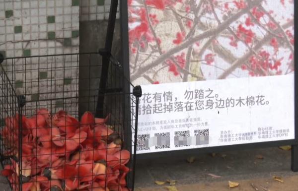 广东这一高校火了！网友：全世界都知道广东人用花煲汤了