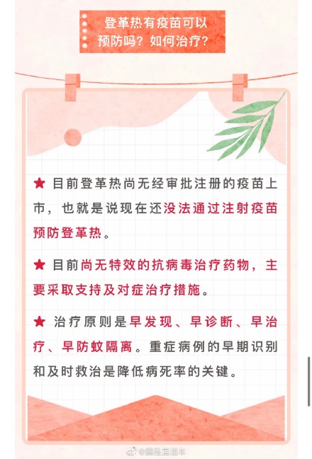 登革热没有疫苗和特效药