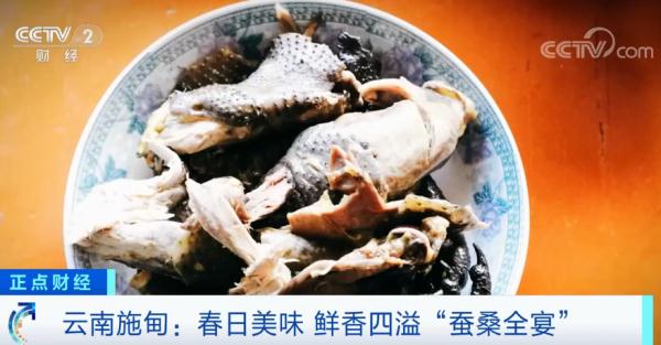 云南施甸鲜香四溢“蚕桑全宴”受欢迎 春日尽享美味