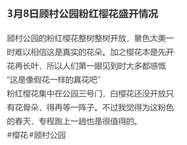 太值了！上海阿姨爷叔看过来：这里赏花拍照老灵额，奉上樱花节攻略→