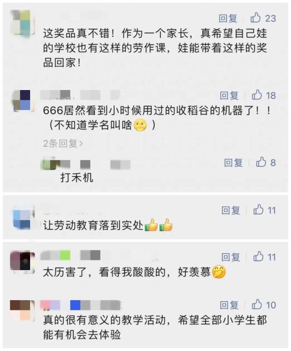 楼顶种水稻？珠海这所学校创意火了
