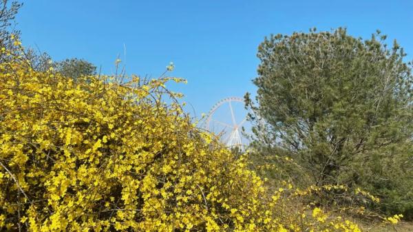 向30℃进发！周末石家庄大降温+降雨+大风来袭