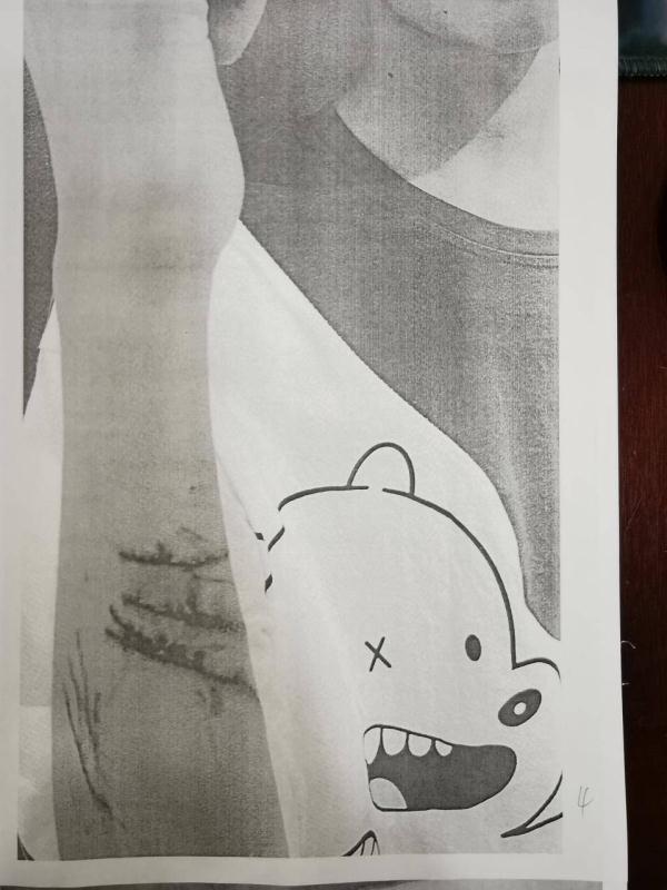 体验“撸猫”服务，结果被抓咬受伤，店家能免责吗？不能