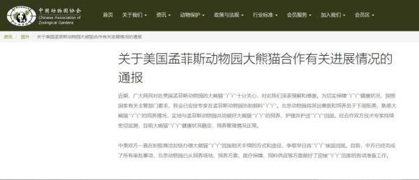 “丫丫”回国最新进展