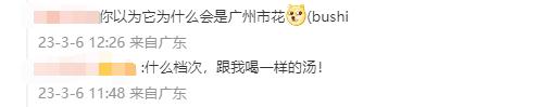 假如砸中牛顿的不是苹果，而是广东的木棉花……