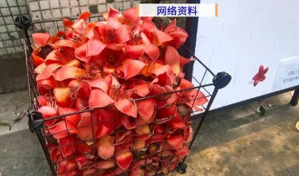 广东高校这一幕火了，网友：这很老广