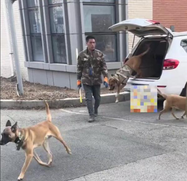 抓到了!在大学里狂飙,还偷吃外卖 抓到了!在大学里狂飙,还偷吃外卖