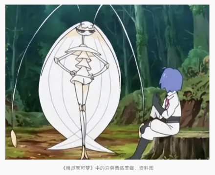 新加坡发现全新蟑螂品种,与《精灵宝可梦》中的费洛美螂相似 新加坡发现全新蟑螂品种,与《精灵宝可梦》中的费洛美螂相似