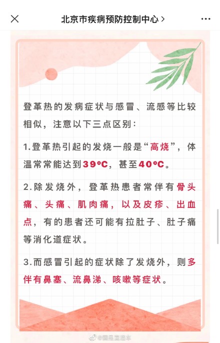 如何区分登革热和普通感冒