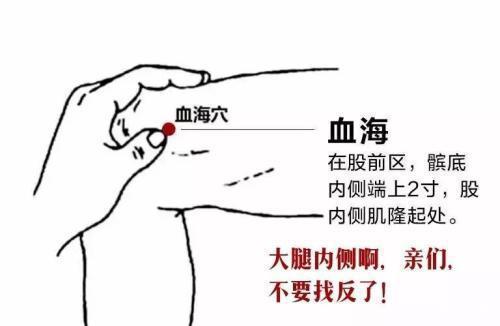 女性在日常生活中应该如何调养气血？