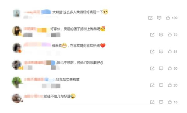 一叫“靓仔”就兴奋！“老广”大熊猫火出圈！