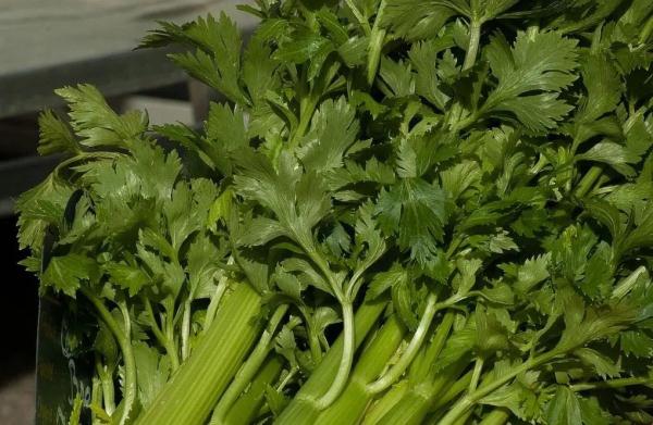 春季多喝这几种粥，补脾养胃、去浊生清，好处多多！