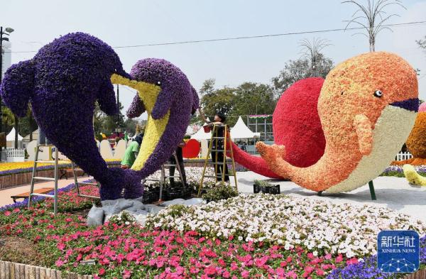 香港花卉展览即将开幕